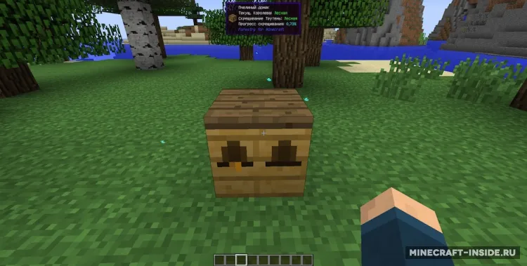 WAILA Plugins — Minecraft mod, rasm 2