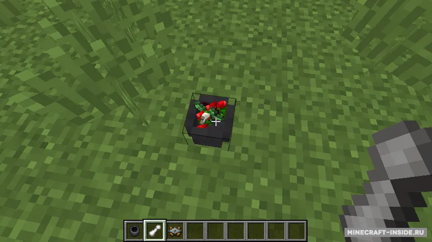 Roots — Minecraft mod, rasm 6