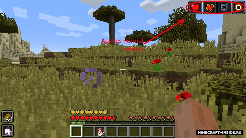 Quick Consume — Minecraft mod, rasm 2
