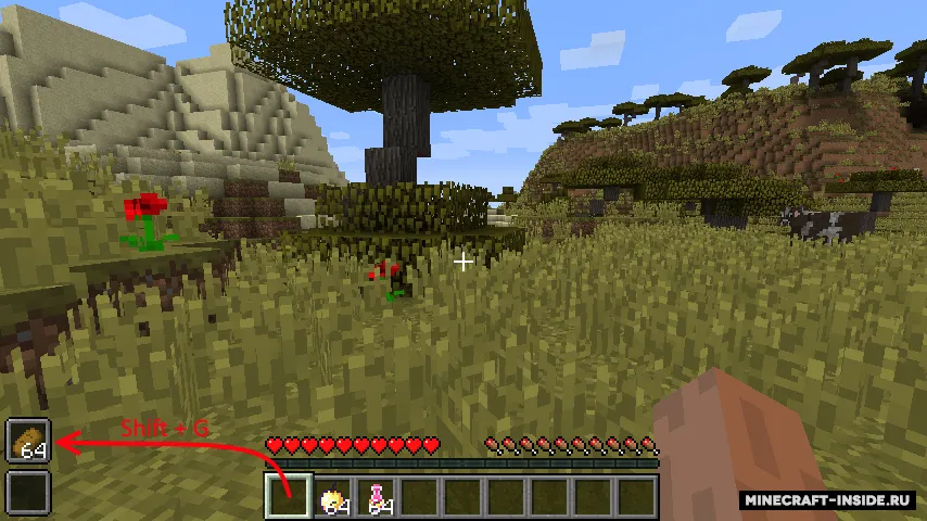 Quick Consume — Minecraft mod, rasm 3