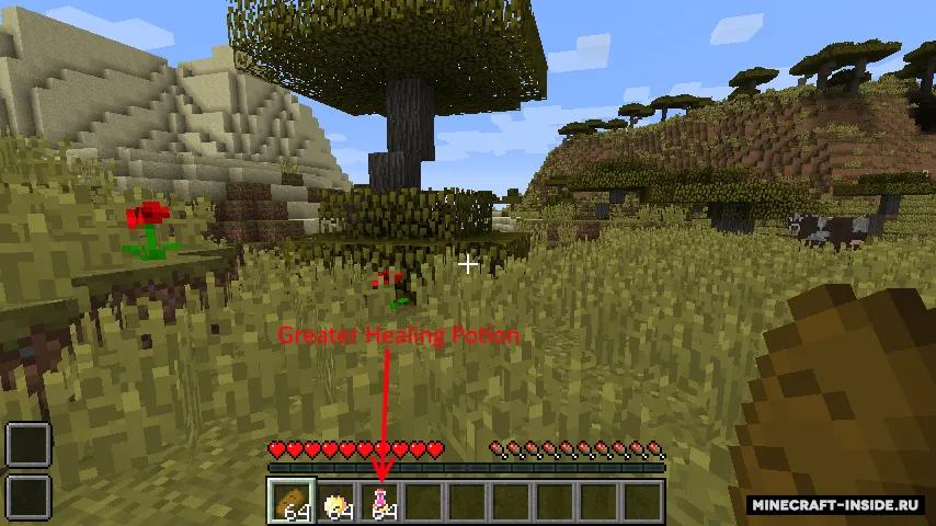 Quick Consume — Minecraft mod, rasm 4