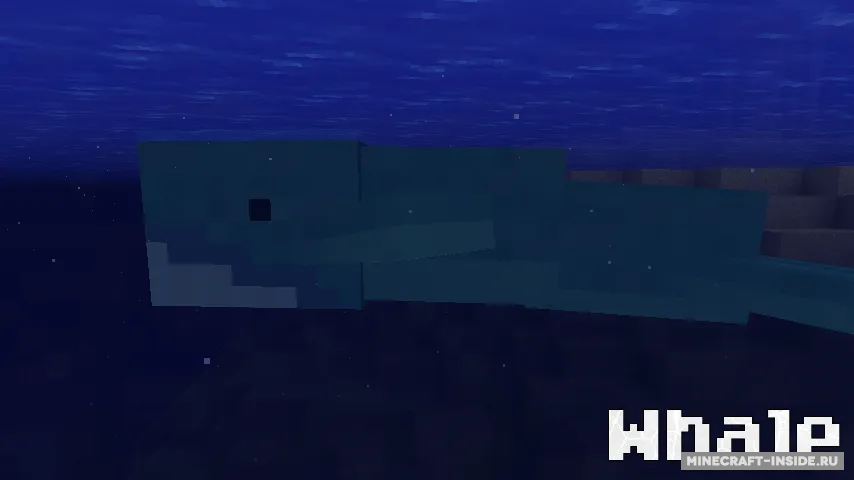 OceanCraft — Minecraft mod, rasm 3