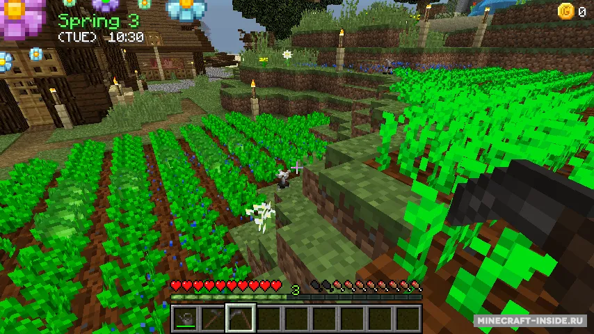 Harvest Festival — Minecraft mod, rasm 5