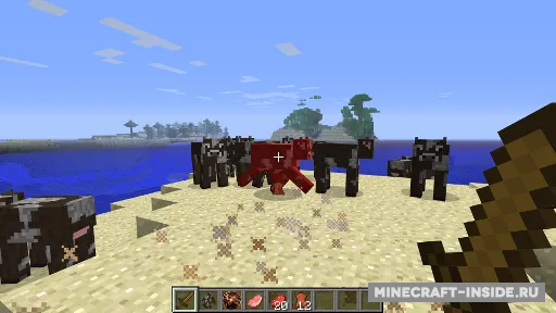 Zelda Sword Skills+ — Minecraft mod, rasm 3