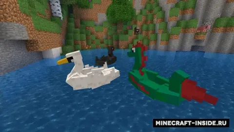 Paddle Boats