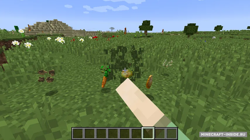 Seed Drop — Minecraft mod, rasm 2