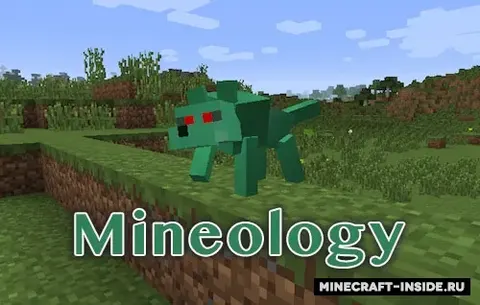 Mineology
