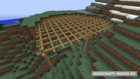 Lattice
