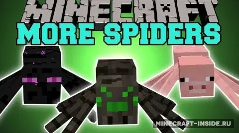 Much More Spiders