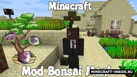 Bonsai Man