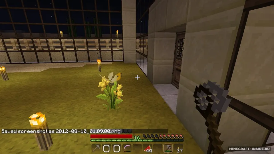 Butterfly Mania — Minecraft mod, rasm 2