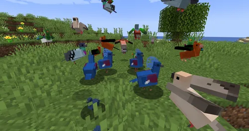 Pigeons! — Minecraft mod, rasm 1