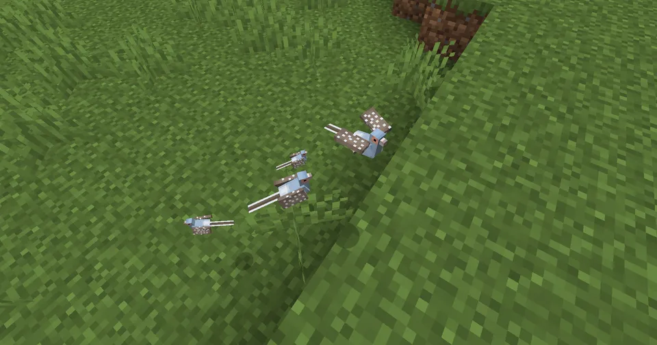 Pigeons! — Minecraft mod, rasm 3