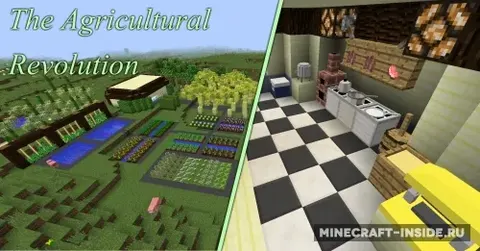 The Agricultural Revolution