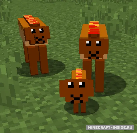 HotDOG — Minecraft mod, rasm 1