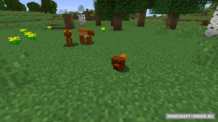 HotDOG — Minecraft mod, rasm 2