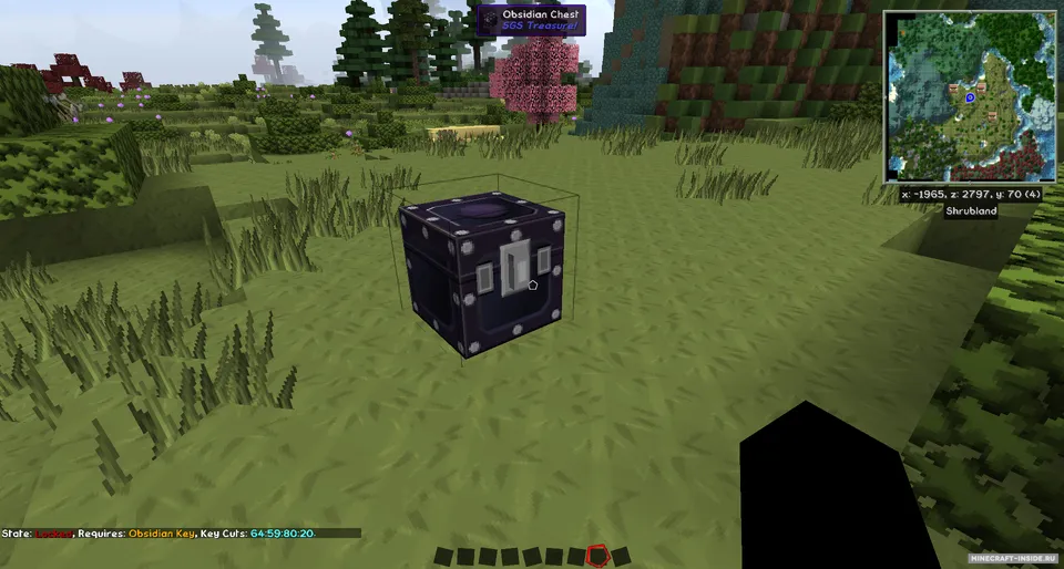 SGS Treasure — Minecraft mod, rasm 2