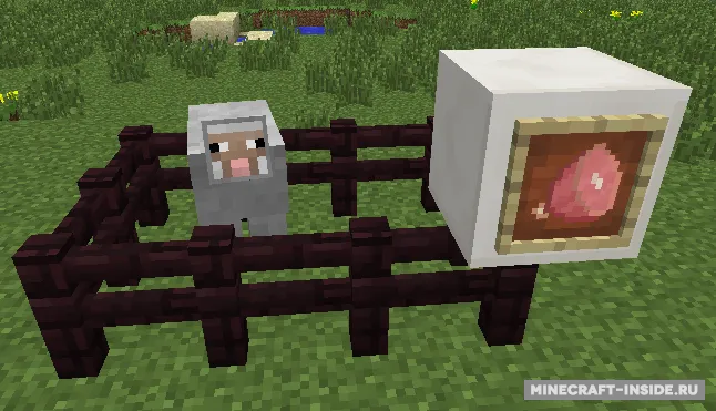 Mexican — Minecraft mod, rasm 2