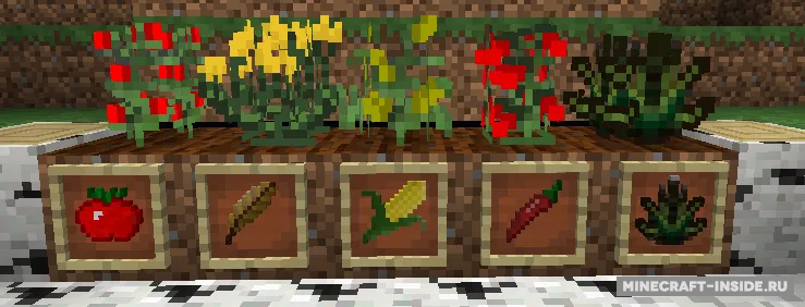 Mexican — Minecraft mod, rasm 5