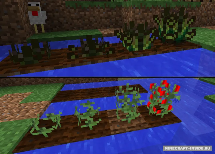 Mexican — Minecraft mod, rasm 6