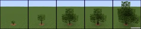 Growing Trees