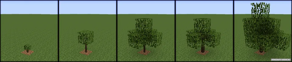 Growing Trees — Minecraft mod, rasm 1