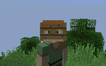 Block Hats — Minecraft mod, rasm 4