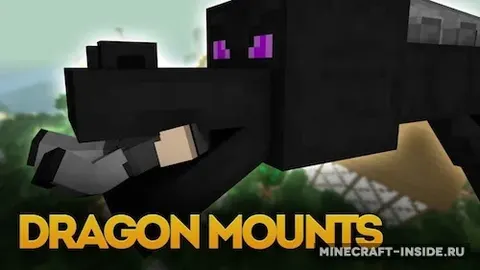 Dragon Mounts
