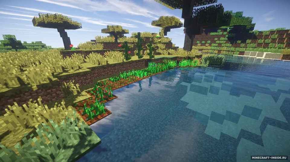 MasterChef — Minecraft mod, rasm 2