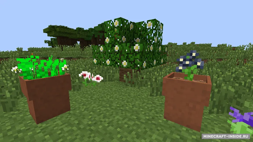 Druidry — Minecraft mod, rasm 6