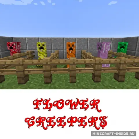 Flower Creepers