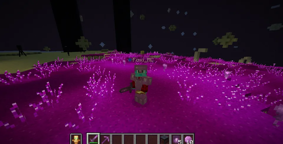 Starfall - The End Expansion — Minecraft mod, rasm 5