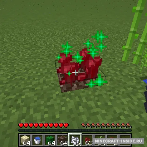 BetterBoneMeal — Minecraft mod, rasm 1