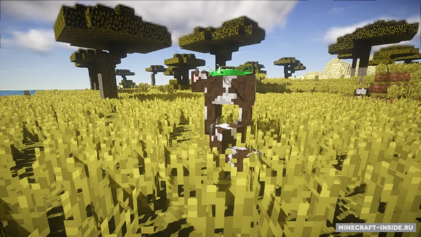 Custom Drones — Minecraft mod, rasm 3