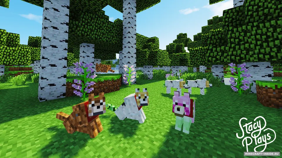 Stacy's Wolves — Minecraft mod, rasm 5