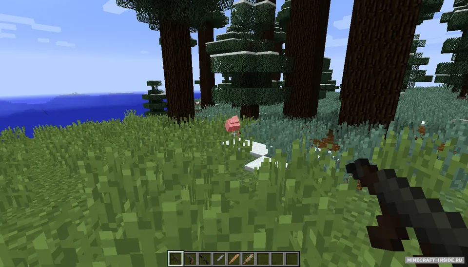DayZ — Minecraft mod, rasm 3