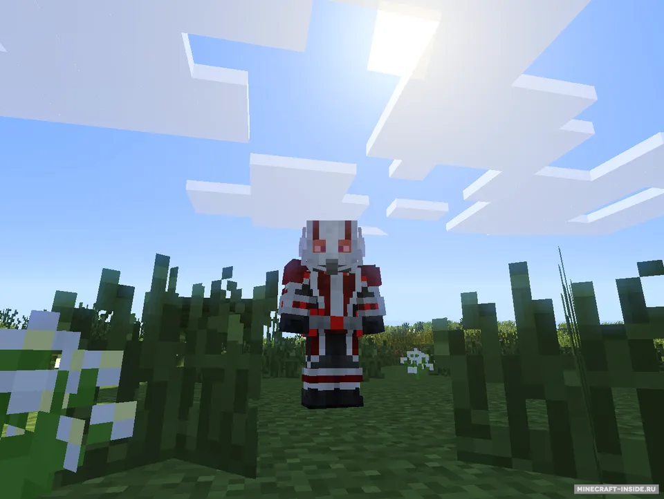 AntMan — Minecraft mod, rasm 2
