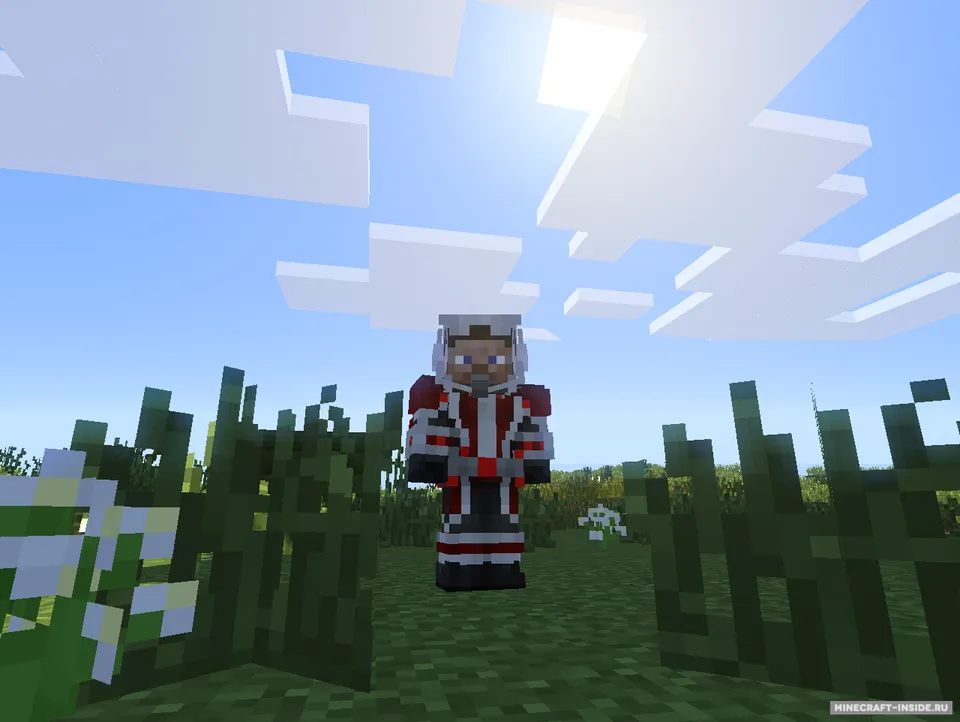 AntMan — Minecraft mod, rasm 3