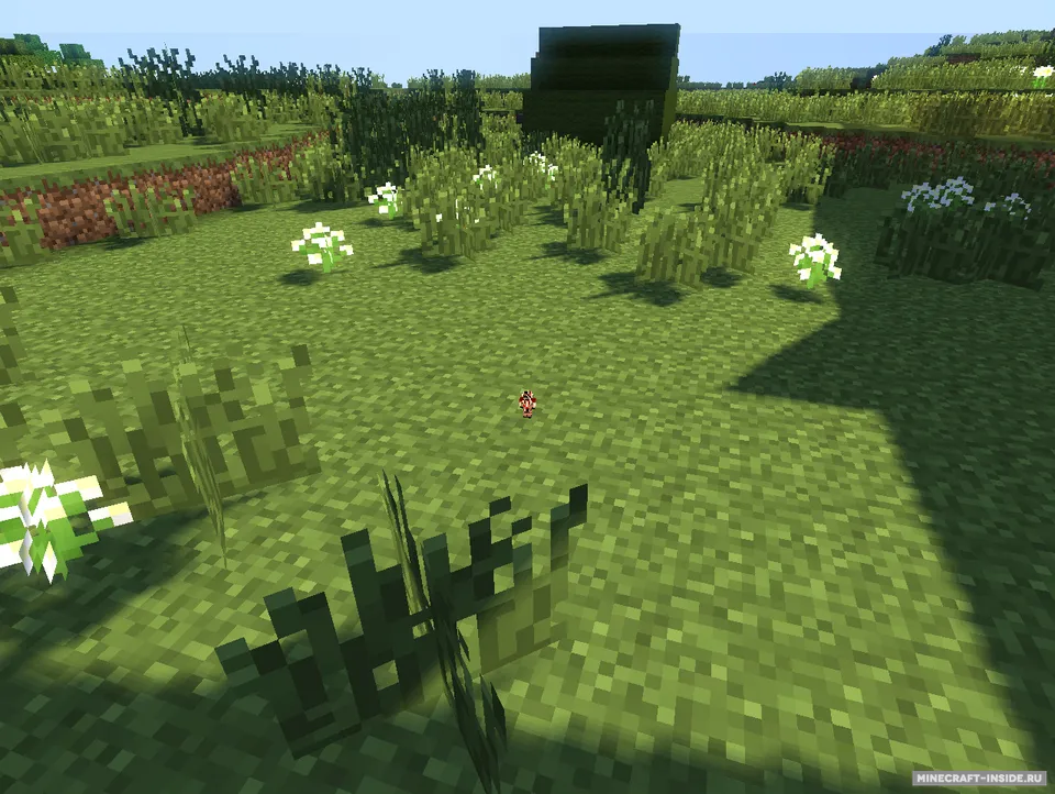 AntMan — Minecraft mod, rasm 4