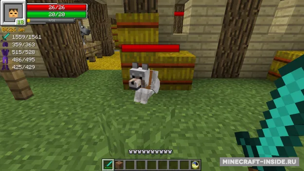 Interface+ — Minecraft mod, rasm 4