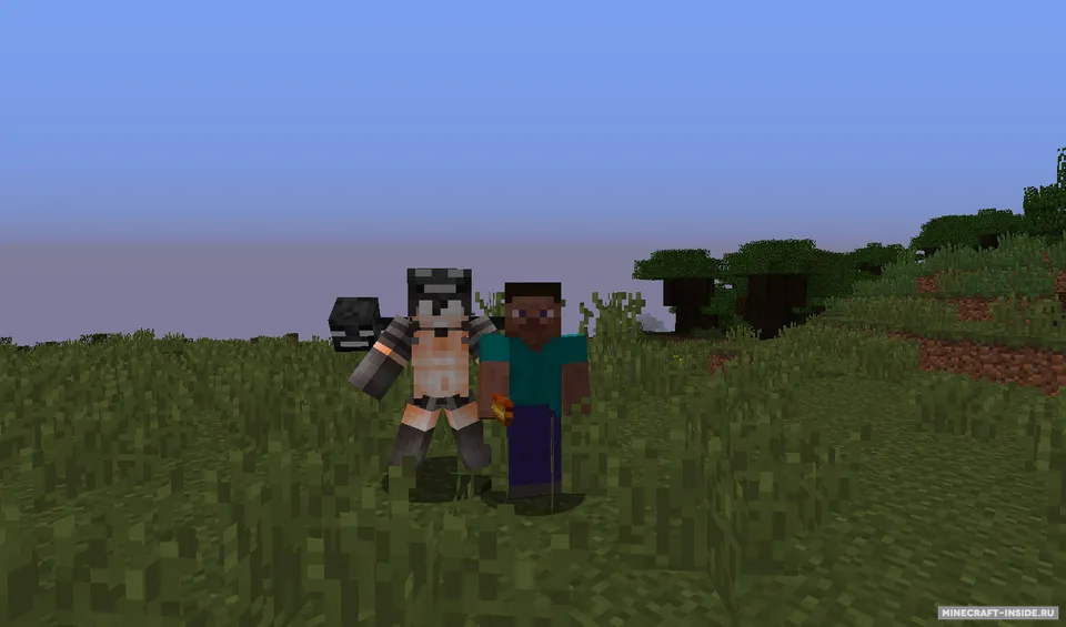 Mo’ Withers — Minecraft mod, rasm 2