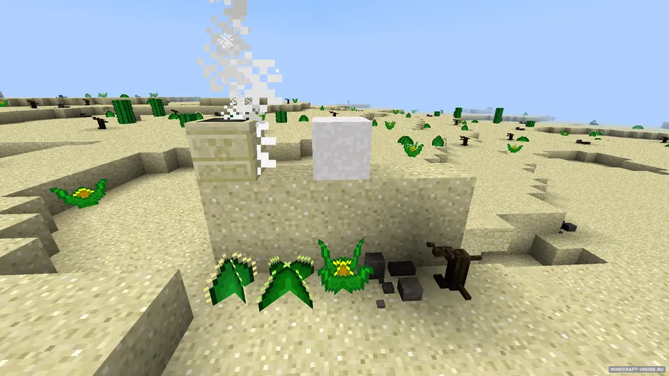 Living Deserts — Minecraft mod, rasm 2