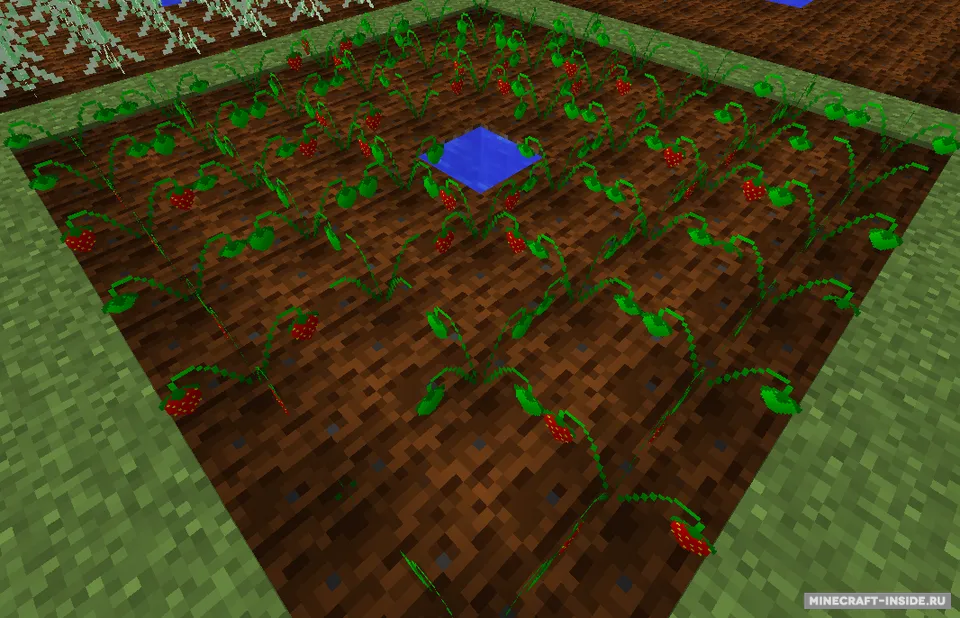 Ore Seeds — Minecraft mod, rasm 2