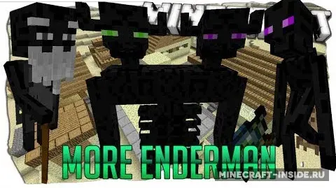 More Enderman