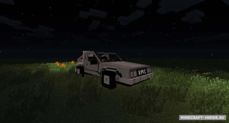 Back To The Future — Minecraft mod, rasm 3