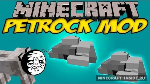 Pet Rock — Minecraft mod, rasm 1