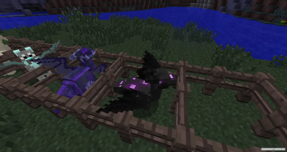 DecoyDragons — Minecraft mod, rasm 2