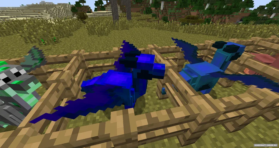 DecoyDragons — Minecraft mod, rasm 3