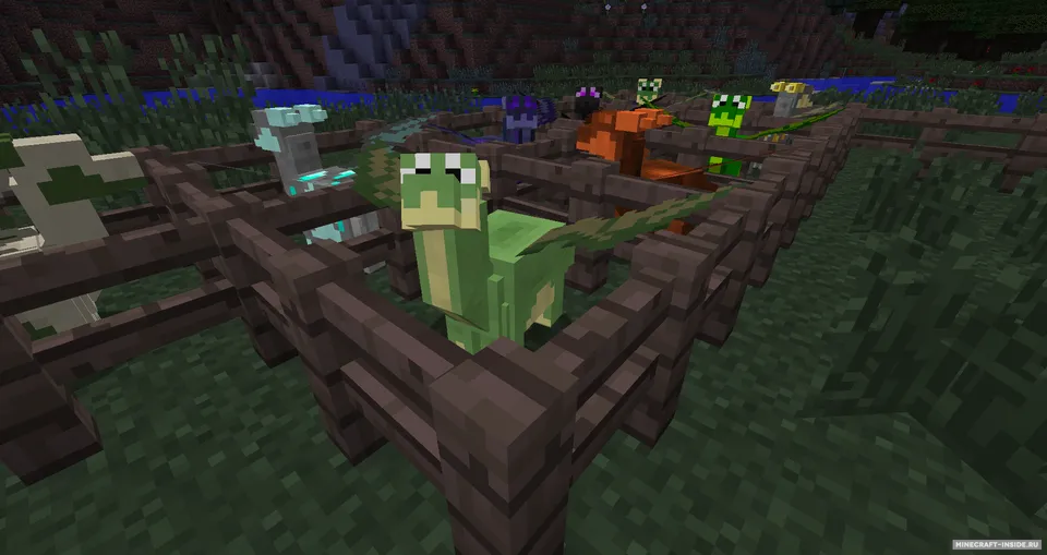 DecoyDragons — Minecraft mod, rasm 5