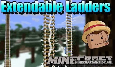 Extendable Ladders